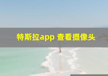 特斯拉app 查看摄像头